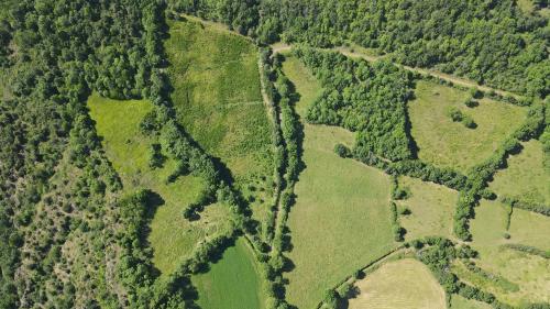 DJI_3035.JPG